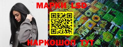 стафф Нальчик