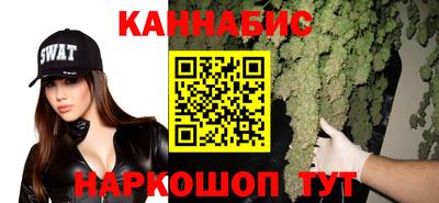 стафф Нальчик