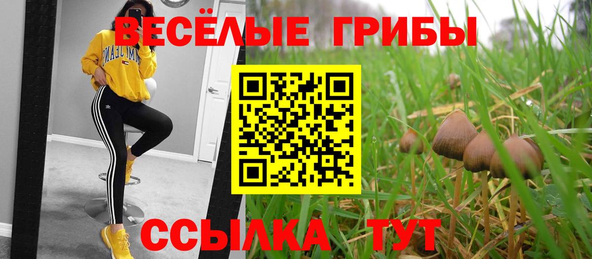 Псилоцибиновые грибы Подольск